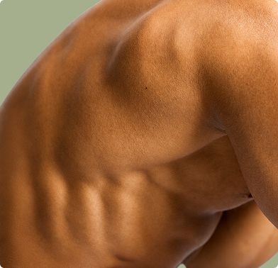 Close-up of a warm brown, muscular skin-like form with pronounced folds against a pale green-gray background.